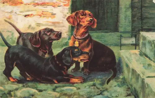 AK Drei süße Dackel Künstlerkarte 1928 gelaufen Postkarte