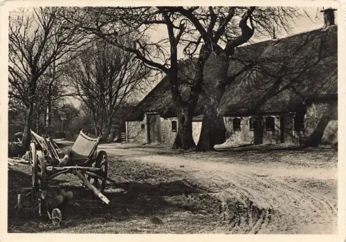 AK Dithmarschen ein Geestdorf Handwagen Schleswig-Holstein gelaufen Postkarte