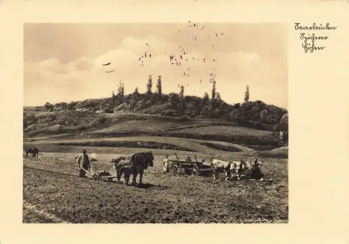 AK Saarbrücken Spicherer Höhen Pferde Wagen Saarland 1941 gelaufen Postkarte