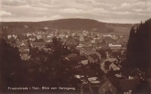 AK Friedrichroda Panorama Blick vom Herzogweg Thüringen ungelaufen Postkarte
