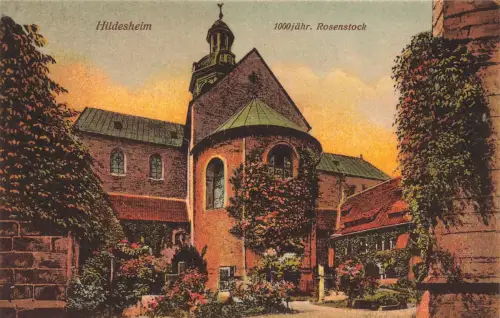 AK Hildesheim 1000 Jähriger Rosenstock Niedersachsen 1927 gelaufen Postkarte