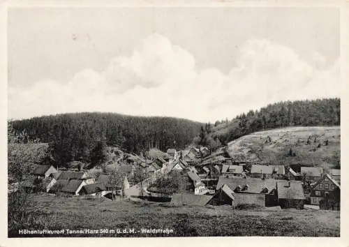 AK Tanne Waldstraße Stadtansicht Sachsen-Anhalt Harz ungelaufen Postkarte