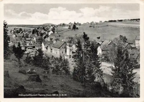 AK Tanne Höhenluftkurort Stadtansicht Sachsen-Anhalt Harz ungelaufen Postkarte