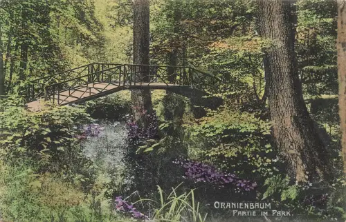 AK Oranienbaum Partie im Park Sachsen-Anhalt 1906 gelaufen Postkarte