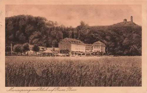 AK Mariaspring Ruine Plesse Niedersachsen 1925 gelaufen Postkarte