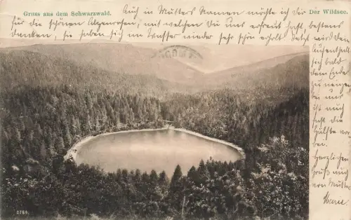 AK Baiersbronn Wildsee Baden-Württemberg Schwarzwald 1905 gelaufen Postkarte