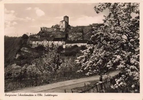 AK Schreckenstein Burgruine Schreckenstein Sudeten ungelaufen Postkarte