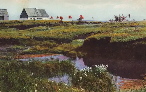 AK Rübenau Hochmoor Sachsen Erzgebirge ungelaufen Postkarte