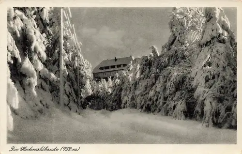 AK Oybin Hochwaldbaude Schnee Sachsen Zittauer Gebirge ungelaufen Postkarte