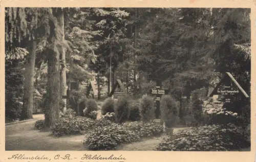 AK Allenstein Olsztyn Heldenhain Grabsteine Ostpreussen ungelaufen Postkarte