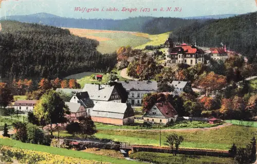AK Wolfsgrün Ortsansicht Sachsen Erzgebirge 1924 gelaufen Postkarte