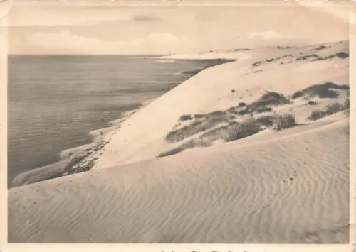 AK Kurische Nehrung Dünen und Haff Ostpreußen ungelaufen Postkarte