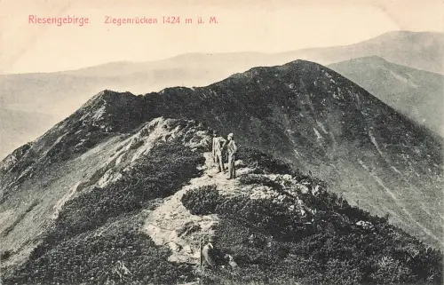 AK Riesengebirge Ziegenrücken Schlesien Postkarte