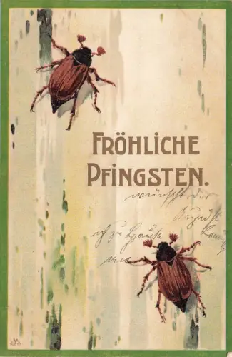 AK Pfingsten Fröhliche Pfingsten Maikäfer gelaufen Postkarte