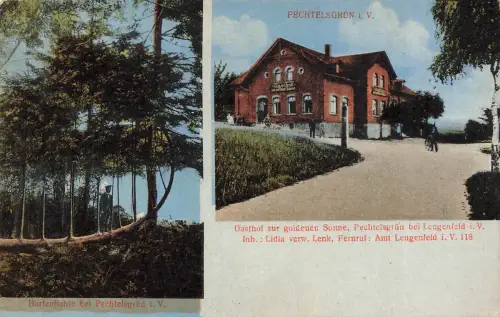 AK Pechtelsgrün Gasthof zur goldenen Sonne Harfenfichte Vogtland Sachsen