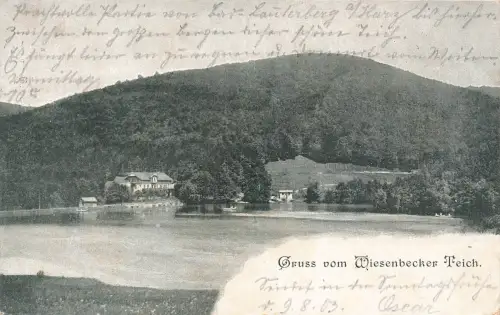 AK Bad Lauterberg Wiesenbecker Teich Niedersachsen Harz 1903 gelaufen Postkarte