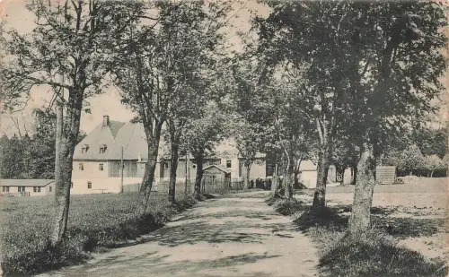 AK Bad Einsiedel Dorfstraße Allee Sachsen Erzgebirge gelaufen Postkarte