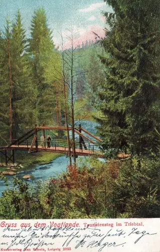AK Triebthal Touristensteg Sachsen Vogtland 1905 gelaufen Postkarte