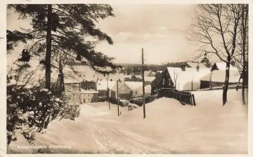 AK Benneckenstein Ortsansicht Winter Schnee Sachsen-Anhalt 1934 Postkarte