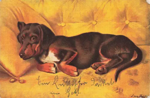 AK Dackel liegt auf der Couch Künstlerkarte J. von Holst 1915 gelaufen
