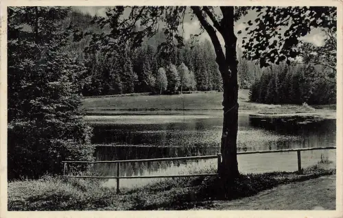 AK Erlbach Gebirgssommerfrische Wintersportplatz Sachsen Vogtland 1939 Postkarte