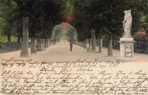 AK Schönnbrunn Wien Allee Schlossgarten Österreich 1905 gelaufen Postkarte