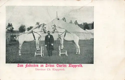 AK Zirkus Charles Klapproth Pferde Zirkuszelt ungelaufen Postkarte