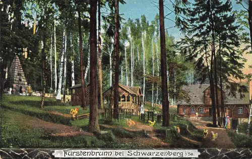 AK Schwarzenberg Fürstenbrunn Hühner Sachsen 1928 gelaufen Postkarte