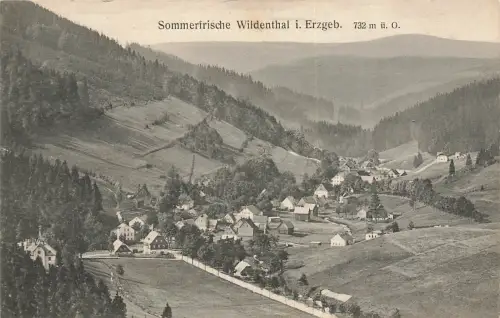 AK Wildenthal Ortsansicht Sommerfrische Sachsen Erzgebirge 1914 Postkarte