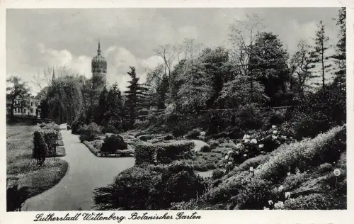 AK Lutherstadt Wittenberg Botanischer Garten Sachsen-Anhalt 1940 Postkarte
