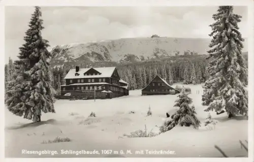 AK Karpacz Schlingelbaude Teichränder Winteransicht Schlesien Riesengebirge