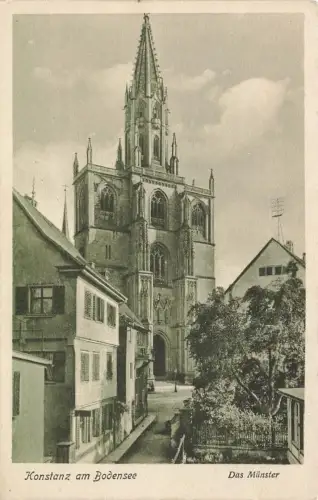 AK Konstanz am Bodensee Das Münster Baden-Württemberg ungelaufen Postkarte