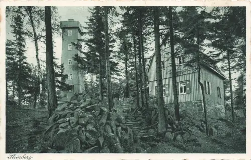 AK Steinberg Aussichtspunkt Sachsen Vogtland gelaufen Postkarte