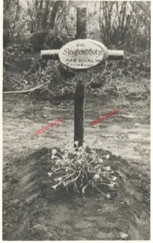 Deutsches Heldengrab Grenadier-Regiment 344 Schlüsselburg Leningrad Russland