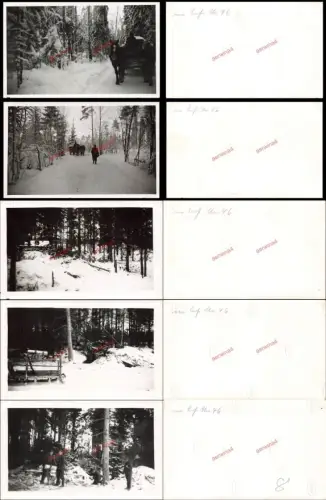 5x Fotos Leben deutscher Soldaten bei Leningrad Blockade Russland Ostfront