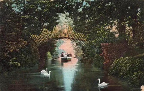 AK Wörlitz Sonnenbrücke Schwäne Ruderboot Sachsen ungelaufen Postkarte