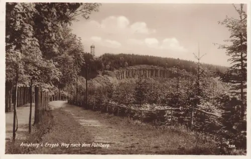 AK Annaberg Buchholz Weg nach dem Pöhlberg Sachsen Erzgebirge 1926 Postkarte