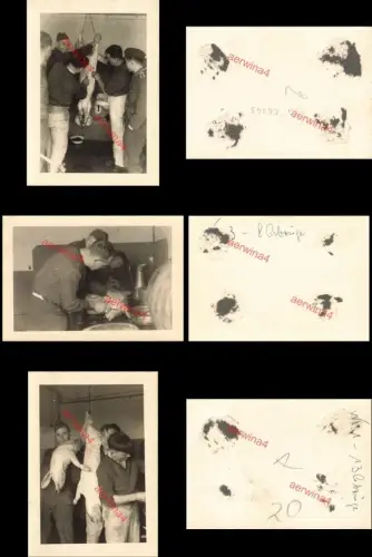 3x Fotos Schlachtfest deutsche Soldaten bei Cherbourg Frankreich