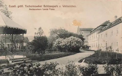 AK Velké Žernoseky Tschernoseker Schlosspark Weinstuben Böhmen 1911 Postkarte