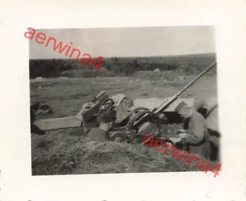 3,7 cm Flak im Erdloch Flugzeugabwehr bei Mga Leningrad Front Ostfront