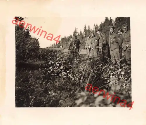 Deutsche Soldaten beim Pinkeln Straßenrand Mga Leningrad Front Ostfront