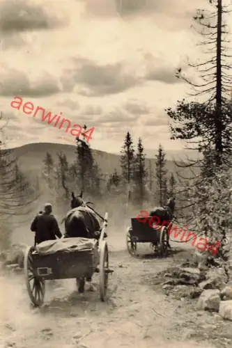 Munitionswagen auf der Eismerrstraße bei Petsamo Finnland