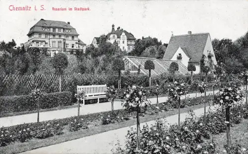 AK Chemnitz Rosarium im Stadtpark Sachsen ungelaufen Postkarte