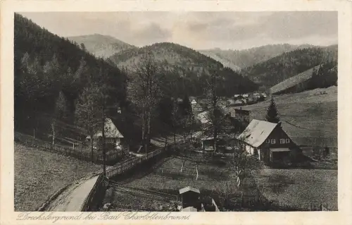 AK Bad Charlottenbrunn Drechslergrund Schlesien ungelaufen Postkarte