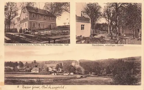 AK Mylau Gasthaus Altes Forsthaus Garten Stadtpanorama Sachsen 1929 Postkarte