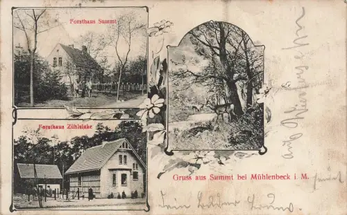 AK Summt b. Mühlenbeck Forsthaus Zühlslake Forsthaus Summt Brandenburg 1909
