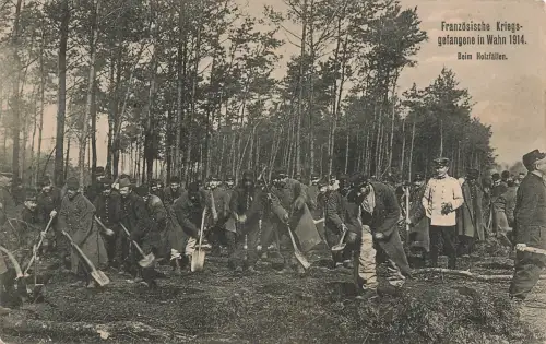 AK 1. Französische Kriegsgefangene im Wahn beim Holzfällen 1914 Patriotika