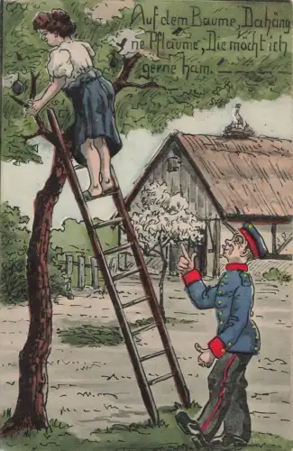 AK 1.WK Soldat unter Leiter Frau pflückt Pflaume 1909 Patriotika Postkarte