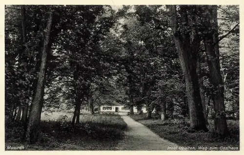 AK Masuren Mazury Insel Upalten Weg zum Gasthaus Ostpreussen Postkarte