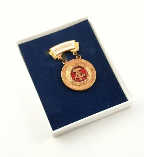 DDR Ehrennadel für Verdienste im sozialistischen Bildungswesen